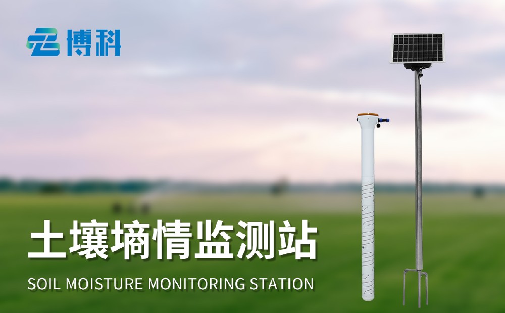 管式土壤墑情監(jiān)測儀