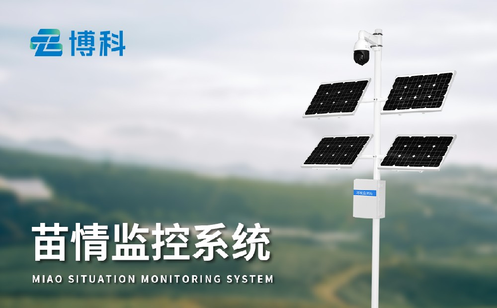 苗情監(jiān)測(cè)系統(tǒng)